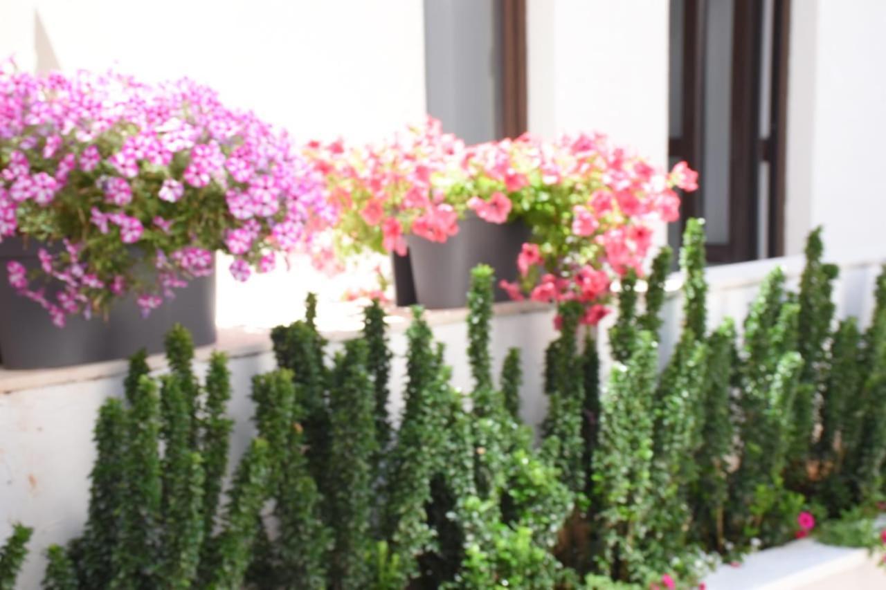 Apartments Petar Budva Dış mekan fotoğraf